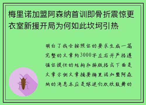 梅里诺加盟阿森纳首训即骨折震惊更衣室新援开局为何如此坎坷引热